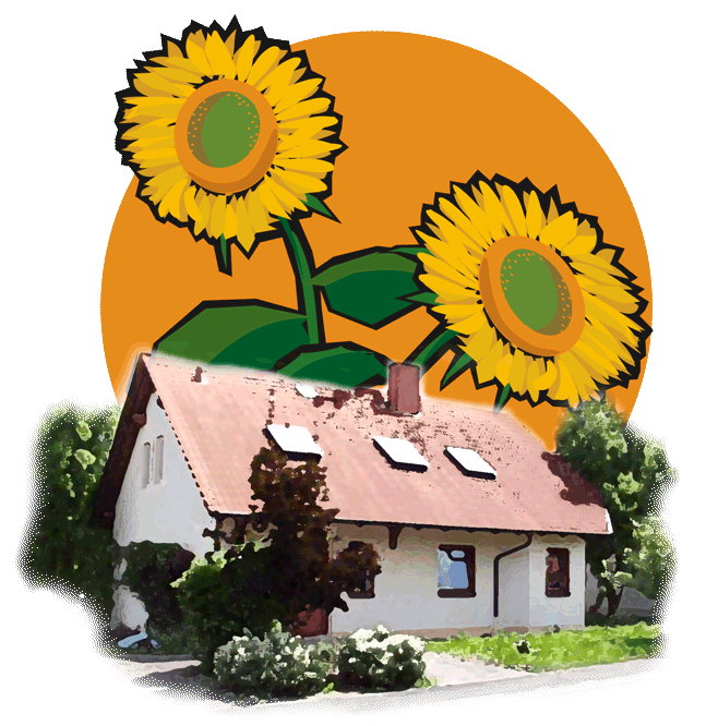 Abbildung Haus Sonnenblume